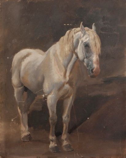 Jean-Richard GOUBIE (1840-1899) Cheval de trait gris, vu de trois quart, avec collier...