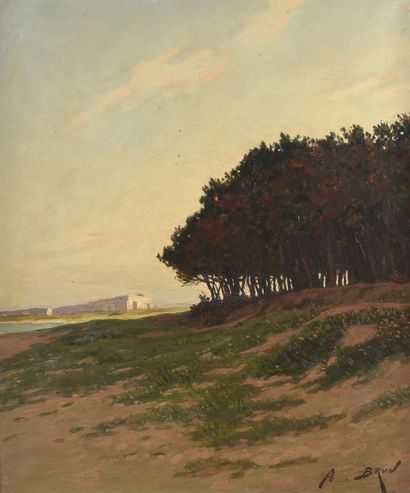 Alexandre BRUN (1853-1941) Bosquet sur la plage
Huile sur toile, signée en bas à...