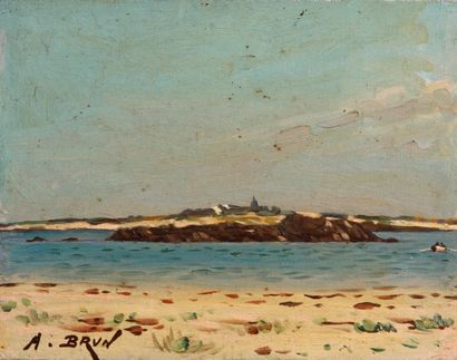 Alexandre BRUN (1853-1941) Marine
Huile sur toile marouflée sur carton, signée en...