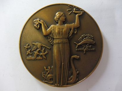 null 2 MEDAILLES :’’ Gloire aux camarades de polytechnique’’, bronze par M. MORLON...
