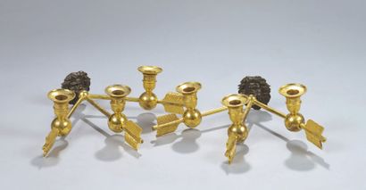 null Paire de bras de lumière en bronze ciselé, patiné et doré comportant trois empennages...