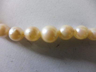 null COLLIER 104 perles de culture en chute diam 2,5 à 7,4 mm longueur 42,5 cm (état...