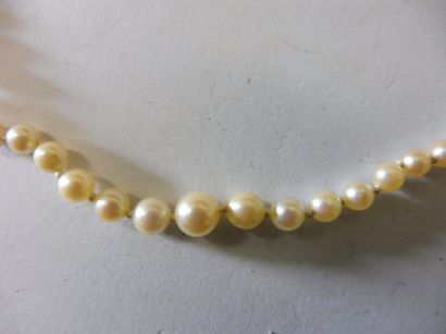 null COLLIER de 21 perles de culture en chute diam 2,1 à 0,6 mm rondes petits défauts...