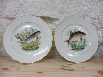 null SERVICE A POISSON 18 assiettes plates décor ‘’aux poissons de rivière’’ tous...