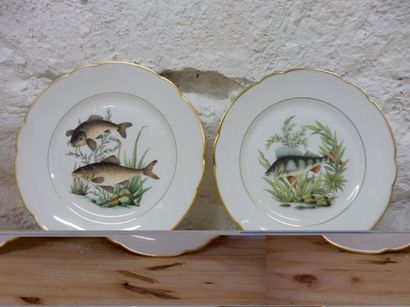 null SERVICE A POISSON 18 assiettes plates décor ‘’aux poissons de rivière’’ tous...