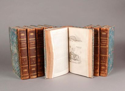 GUERIN (F.E.) 
Dictionnaire pittoresque d'histoire naturelle et des phénomènes de...