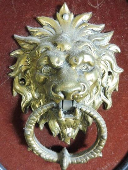 null PETIT HEURTOIR "tête de lion" bronze doré H : 13,5 cm dans un cadre ovale en...