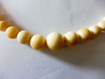 null COLLIER ras du cou perle en chute ivoire diam 5 à 13 mm long. 40 cm