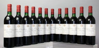 null Douze bouteilles Château POTENSAC -
Médoc 1982. (Etiquettes tachées dont trois...