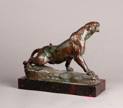 Charles VALTON (1851-1918) La Lionne blessée. Epreuve en bronze à patine verte, signée...