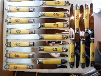 null ENSEMBLE DE COUTEAUX comprenant 18 grands couteaux 6 petits couteaux et 12 couteaux...