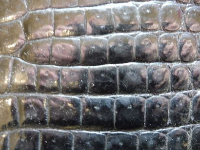 null PORTE DOCUMENT rectangulaire crocodile noir 29 x 37 cm (état moyen)