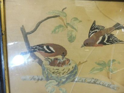 null ‘’Couple d’oiseaux au nid’’ canevas polychrome 22 x 27 cm cadre baguette noir...