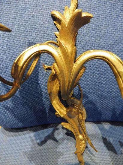 null UNE APPLIQUE à deux lumières bronze style Louis XV - H : 31 cm