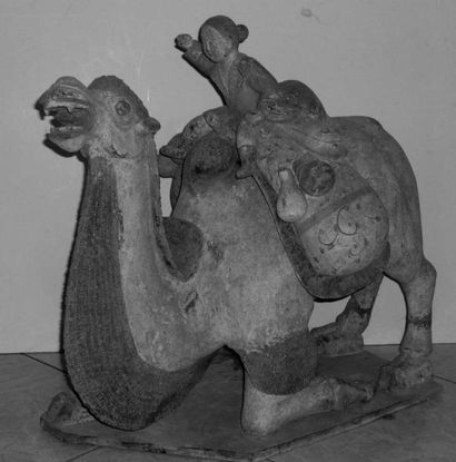 DYNASTIE DES TANG (618 - 907 ap. J.C.) CHAMEAU de Bactriane en terre cuite. Statuette...