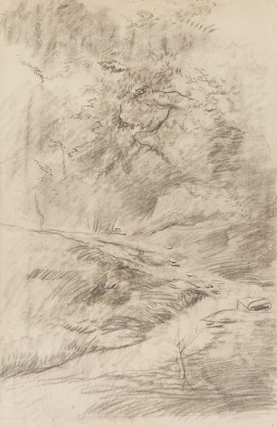 Mosè Bianchi (1840-1904) 

Paysage

Fusain sur papier

59 x 39 cm. - 23 1/4 x 15...