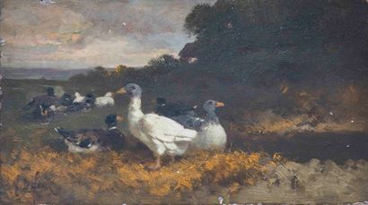  Alexandre DEFAUX (1826-1900) 
Les canards...