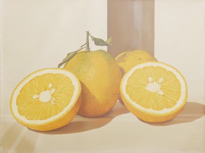 Eduardo BORTK (1950)
Still life with oranges
Oil...