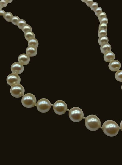 null Necklace in cultured pearls, the clasp in gilded metal 
Length 50 cm 
Total...