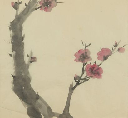 LIN FENGMIAN (1900-1991) Branche de cerisier en fleur
Encre et couleur sur papier,...