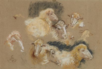 Mosè BIANCHI (1840-1904) 
Etude de moutons...