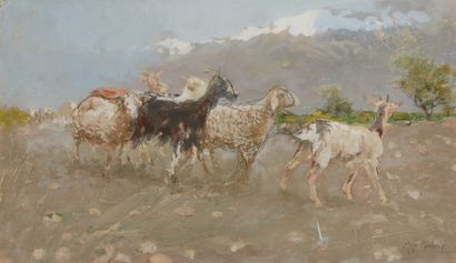 null Mosè BIANCHI (1840-1904) 

Chèvres dans les champs

Aquarelle et gouache sur...