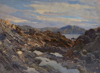 null Giorgio BELLONI (1861-1944) 

Littorale roccioso

Huile sur panneau, signée...