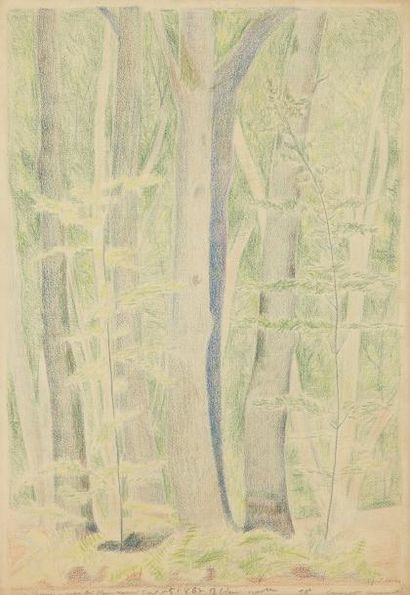 Natalia GONTCHAROVA (1881-1962) Natalia GONTCHAROVA (1881-1962)

Arbres, vers 1930

Crayons...