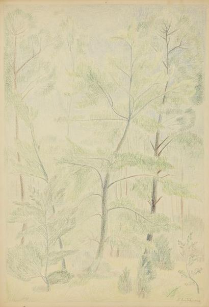 Natalia GONTCHAROVA (1881-1962) Arbres, vers 1930

Crayons de couleurs sur papier,...