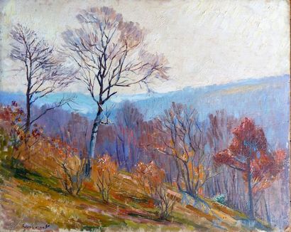 null Raymond Louis LECOURT (1882-1946)

Paysage dans les environs du Havre

Huile...