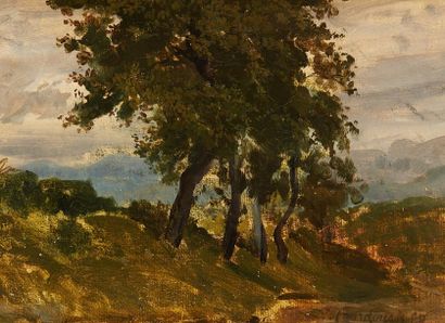 Vincent COURDOUAN (1810-1893) Vincent COURDOUAN (1810-1893)

Paysage

Huile sur carton,...