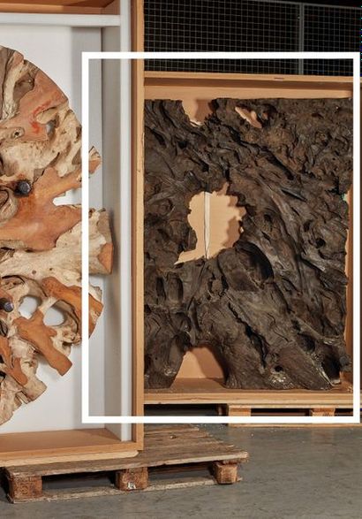 SEGUIN Jérôme Abel SEGUIN (né en 1950)

Wooden Abstract Piece

Bois de fer du Gaïac.

Haut....