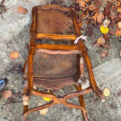 null ELEVEN CHAIRS in moulded natural wood, carved with flowers, resting on arched...