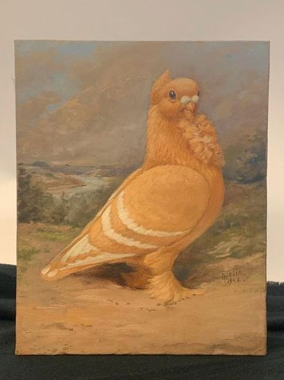 null Chinese Tied Pigeon. Oil on canvas signed lower right "DELIN 1942". 

Height....