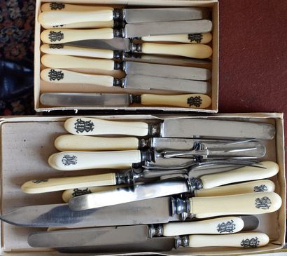 null Knife set, ivory handles including: eleven large knives, ten dessert knives...