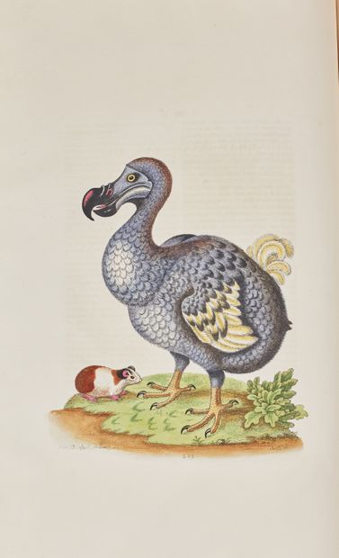 null EDWARDS (George) : A natural history of birds. Londres, Will. Gardiner and Messrs...