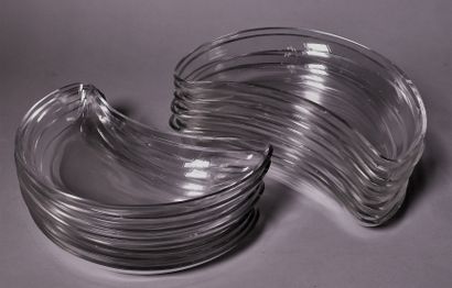 null THIRTEEN half-moon glass salad plates.

(Accidents and chips)

Lot delivered...