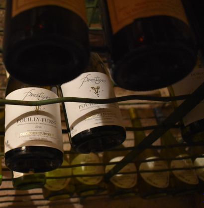 null LOT OF ABOUT 50 BOTTLES of various wines.

Lot delivered at TSE in Bagnolet...