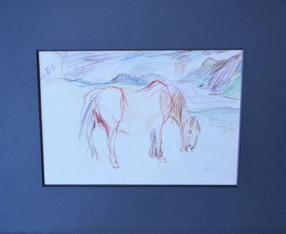 null SOUS-VERRE reproduction KOKOSCHKA : Cheval. Hors tout : Haut. 49 - Larg. 58...