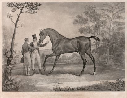 null Jean-Pierre-Marie JAZET (1788-1871), d’après Carle VERNET (1758-1836)

Le cheval...