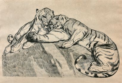 JOUVE Paul JOUVE (1878-1973)

Two tigers at rest, created in 1931

Original etching...