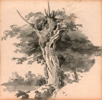 null Antoine-Laurent-Thomas VAUDOYER (Paris, 1756-1846)

Étude d’arbre

Lavis brun.

Haut....