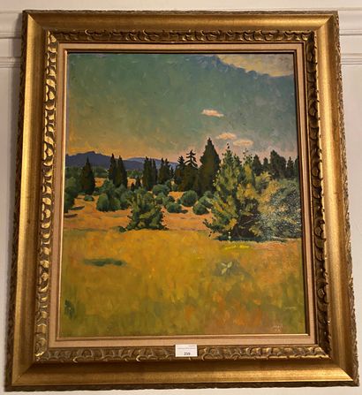 null Conrad MEILI (1895-1969) : Paysage de montagne. Panneau signé et daté en bas...