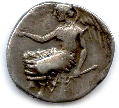 null BRUTTIUM - TERINA 440-425

Head of the nymph Terina. Out of field, Δ. 

R/....
