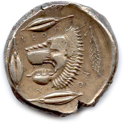 null SICILY - LEONTINI 466-422

Laureate head of Apollo, with half-length hair. 

R/....