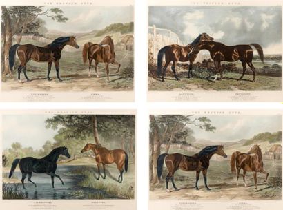J. HARRIS d'après J.F. Herring Senior The British Stud (Étude de chevaux) Six lithographies...