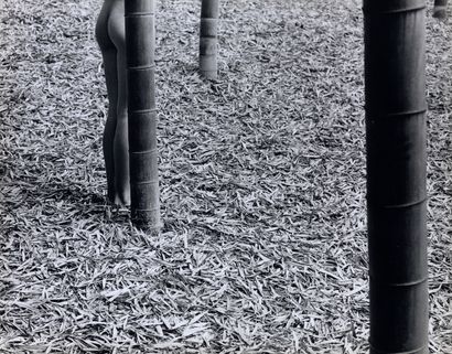 SAM HASKINS (1929-2009) PERSONAL PROJECT
Japan Bamboo Forest - Legs, ca. 1975.
Photograph....