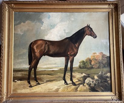 null 19th century FRENCH SCHOOL: Horse in a landscape. Canvas. Height 60 - Width...