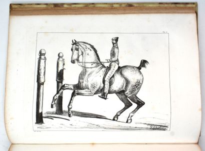 null D'AURE: Traité d'équitation. Paris, Mme Leclère, 1834. Pt. in-fol. Modern binding...