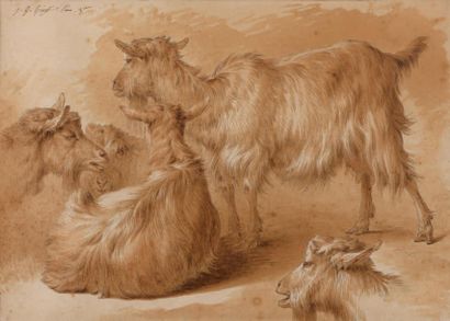 Jean Baptiste HUET (1745-1811) Les Chèvres Encre noire et aquarelle, signée à gauche...